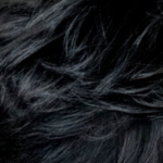 San Antonio Root Touch-Up The Crescent Salon